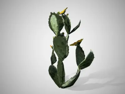Prickly Pear Cactus Tree Low-poly 3D model