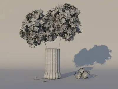 Dry Hydrangea Flowers 3D model Free 3D model