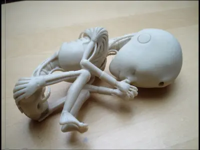 Robot 01 embryo 3D print model