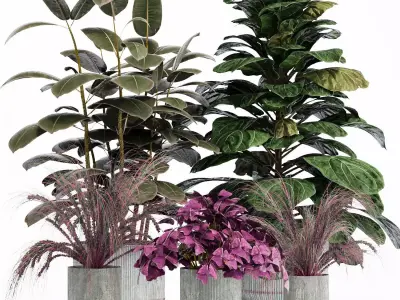 INDOOR PLANT SET 05 3D model