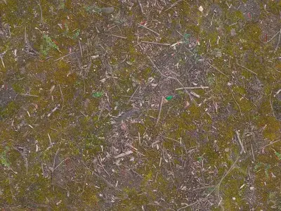 Seamless Ground Moss Dirt Texture Texture