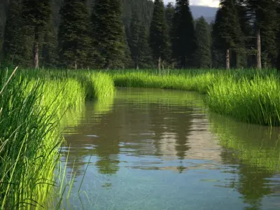 Pine Forest 3d Scene 3D model