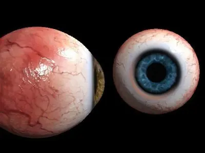 Eye Human Low-poly 3D model