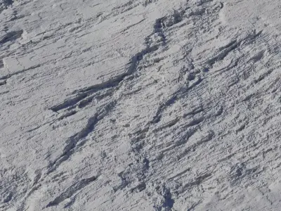 Mossy Wet Layered Rock Texture Texture