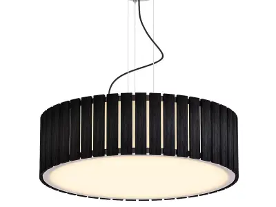 Citilux ctilux pendant light 3D model