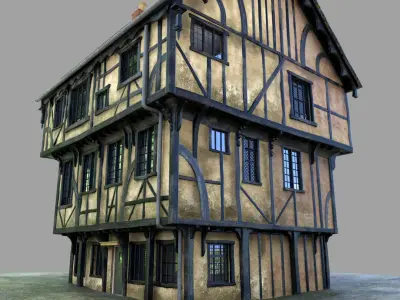 Wide Tudor House 3D model