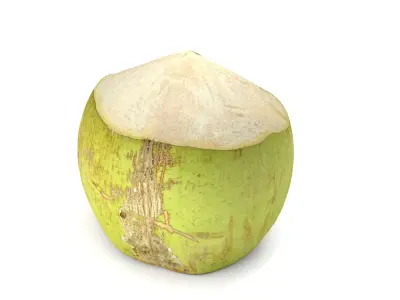 Green Coconut - Photorealistic  Scan Low-poly 3D model