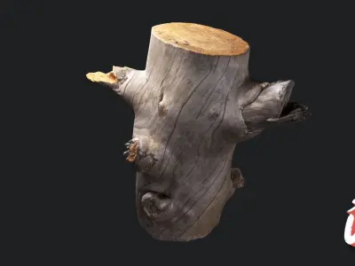 Silver Logs Pack  01- Stonelake3D Low-poly 3D model