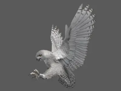  Snowy Owl Animated 