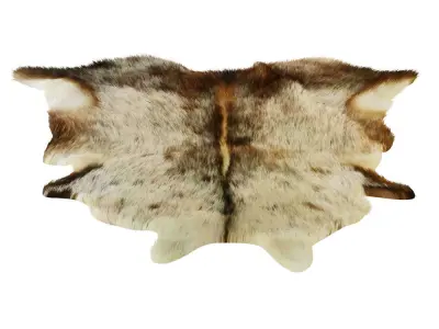 Carpet Cowhide Brown White 11 3D model