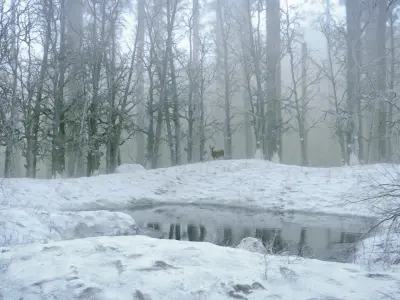 Winter Lake Low-poly 3D model