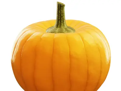 pumpkin 3D model