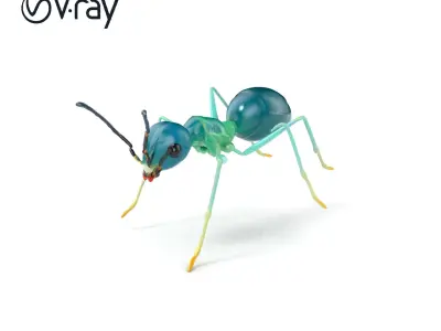 Aquamarine Water Ant Smooth Model Pack Low-poly 3D model purchase