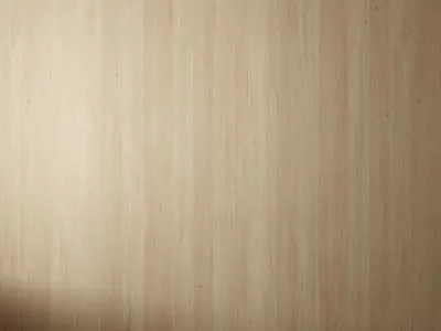 Wood Material PBR Seamless Texture