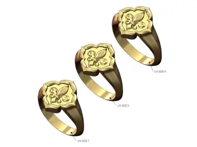 Lily ornament window signet ring Us sizes 7 8 9 3D print model