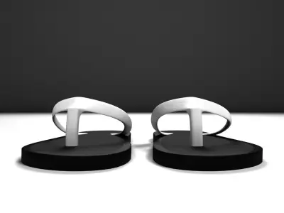Flip-Flops flip flops 3D model