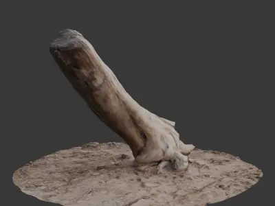 Leaning Tree Trunk Scan Low-poly 3D model