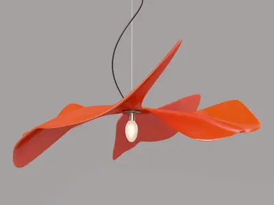 Papavero Raggiante 3D model