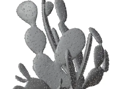 Decorative vases set with cactus HG2 3D model