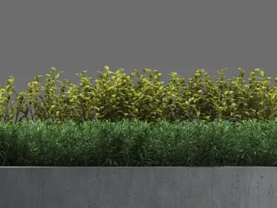 bench1046 concrete benches and plants in park 3D model