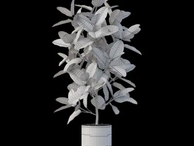 Plants collection 877 3D model