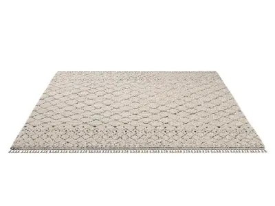 LAHNA WOOL RUG 3D model