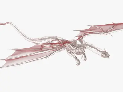  Petrified Skeleton Dragon in Transparent Shell 