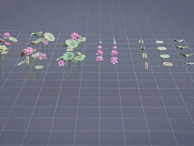Realistic Lotus Art Low-poly 3D model