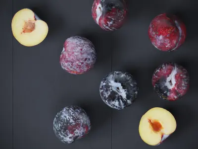 Black Plums 7 Models