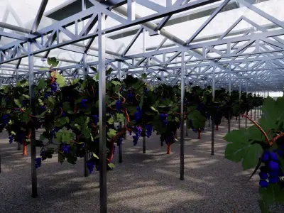 Agricultural Greenhouse Tent Frame -B6 3D model