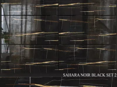 Decovita Sahara Noir Black 600x1200 Set 2 3D model