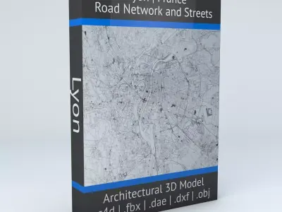 Lyon Road Network and Streets 3D model
