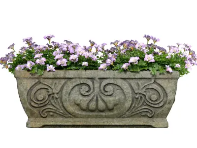 Flowers Container Garden Outdoor classic flowerpot pot urn  3D model