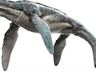  Elasmosaurus Rigged 3D 