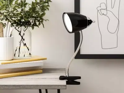 Zainab Clip On Lamp - Colour 3D model
