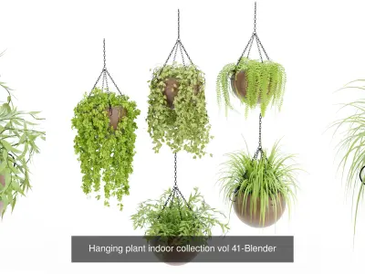 Hanging plants indoor collection-Blender 3D Model Pack