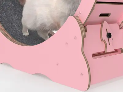  Ragdoll Cat Walking on Exercise Wheel Fur for Maya 