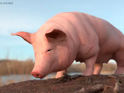 Pig Sow Landrace Animated Rigged for Blender 