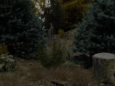  Realistic forest 3D model