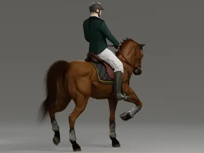  Male Equestrian Animated HQ 