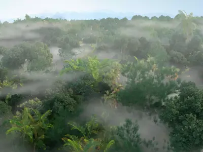 tropical rainforest 3D model