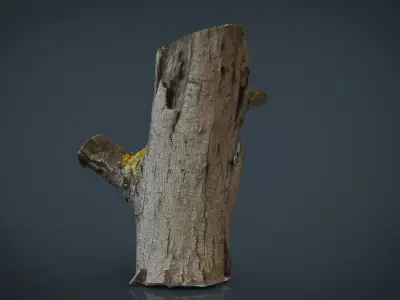 Wood Log 4 Low-poly 3D model
