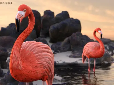  Tropical Bird Flamingo Pink 