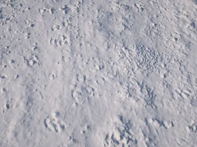 Dirt Road 3D Scan Low-poly 3D model