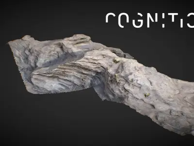 Iceland Tidal Rocks 02 Low-poly 3D model