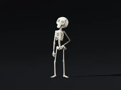  Stylized Cartoon Skeleton - Rigged for Maya 