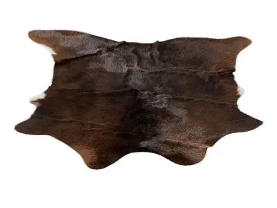 Animal skin rug 16 3D model