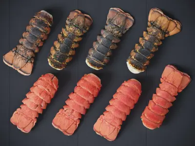 Atlantic Lobster Tails 8 Models