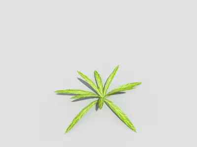 Low poly Plant Low-poly 3D model