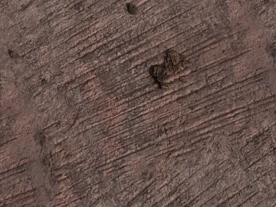 Concrete Ground PBR Texture